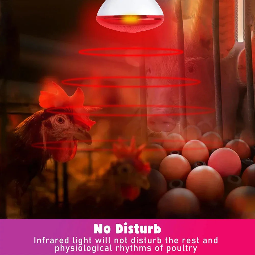100W-275W Poultry Heating Lamp Livestock Farm Infrared Heating Lamp Explosion-proof Durable Reptile Light Lampshade Optional