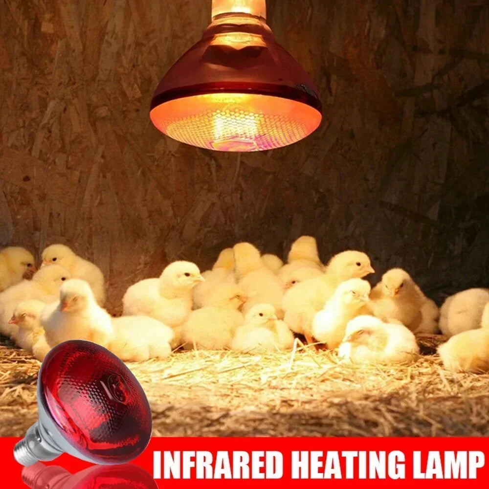 100W-275W Poultry Heating Lamp Livestock Farm Infrared Heating Lamp Explosion-proof Durable Reptile Light Lampshade Optional