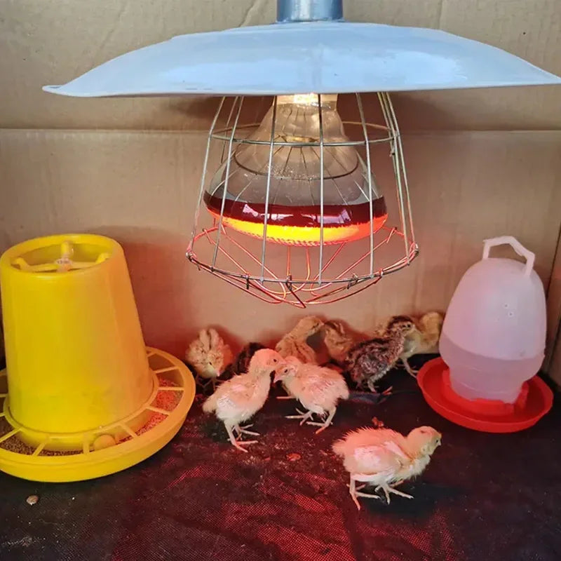 100W-275W Poultry Heating Lamp Livestock Farm Infrared Heating Lamp Explosion-proof Durable Reptile Light Lampshade Optional