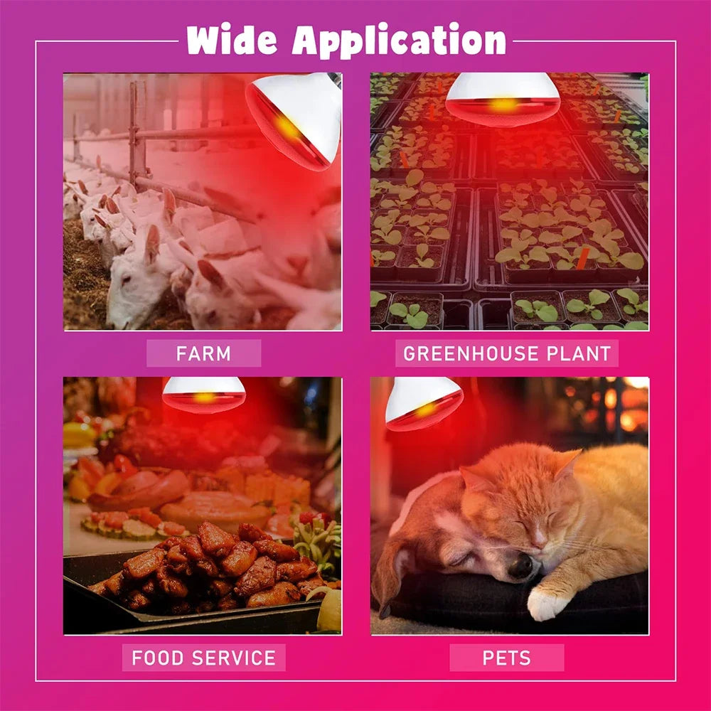 100W-275W Poultry Heating Lamp Livestock Farm Infrared Heating Lamp Explosion-proof Durable Reptile Light Lampshade Optional