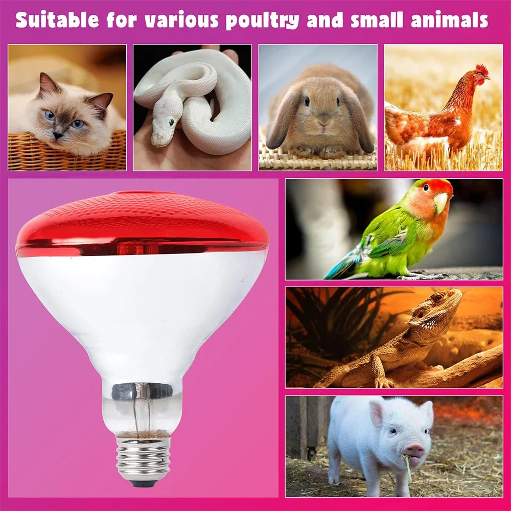 100W-275W Poultry Heating Lamp Livestock Farm Infrared Heating Lamp Explosion-proof Durable Reptile Light Lampshade Optional